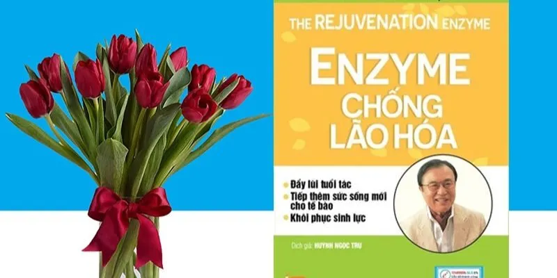 ENZYME CHỐNG LÃO HÓA